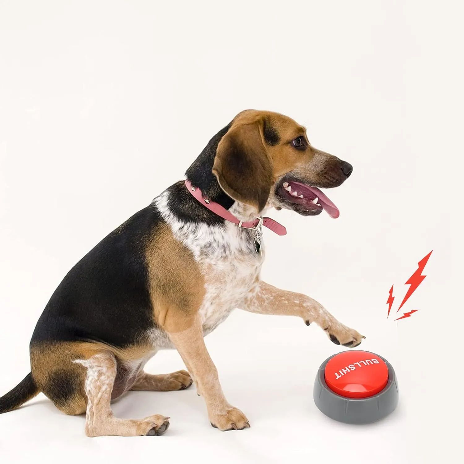 Botón para perros - Oferta en Amazon