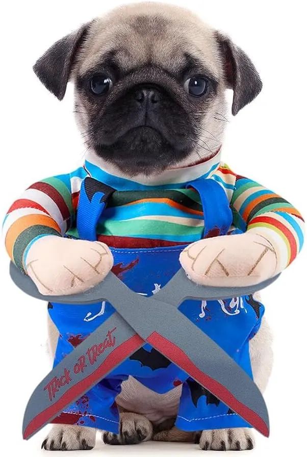 Disfraz para perro - Oferta en Amazon